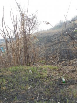В марте курортная Черноморка пылала трижды