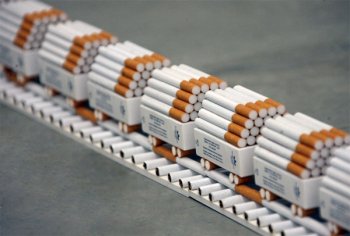 Налоговики изъяли 300 тысяч пачек сигарет