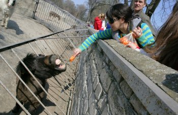 В Одесском зоопарке прошел «звериный» квест