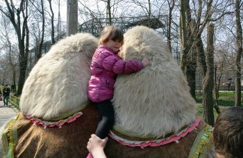 В Одесском зоопарке прошел «звериный» квест