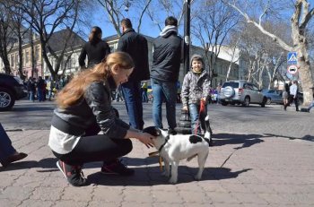 Анонс: В Одессе пройдет уличная выставка "По дороге с облаками"