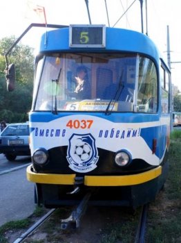 Завтра в Одессе будут обрезать деревья по ул. Пионерской