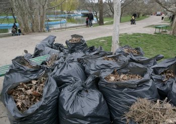Одесситы вышли на субботник, чтобы убрать приморские склоны