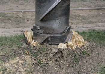 Одесситы вышли на субботник, чтобы убрать приморские склоны