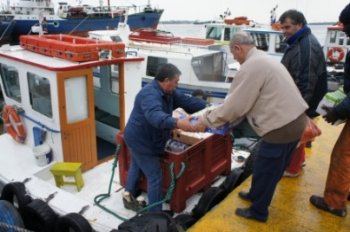 Три года в боях за зарплату