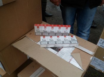 Котовские правоохранители изъяли контрабандные сигареты на сумму почти в 1,7 млн. грн. (фото)