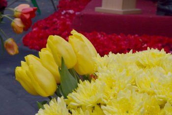 Одесситы простились с Борисом Литваком (продолжение)