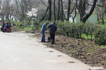 В Одессе благоустраивают центральную аллею гидропарка Лузановка