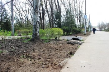 В Одессе благоустраивают центральную аллею гидропарка Лузановка