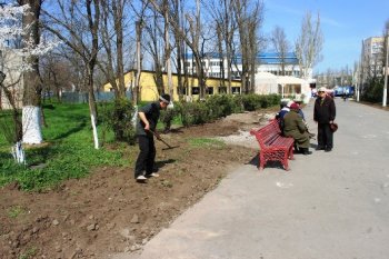 В Одессе благоустраивают центральную аллею гидропарка Лузановка