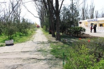 В Одессе благоустраивают центральную аллею гидропарка Лузановка