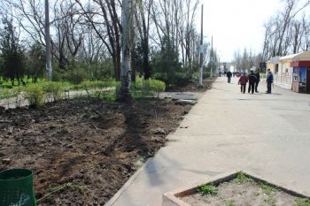 В Одессе благоустраивают центральную аллею гидропарка Лузановка