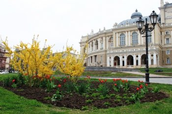 Нежная моя Одесса... (фото)