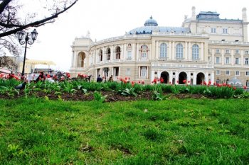 Нежная моя Одесса... (фото)
