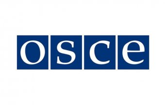 ОБСЕ отправляет в Славянск группу переговорщиков для освобождения задержанных военных экспертов