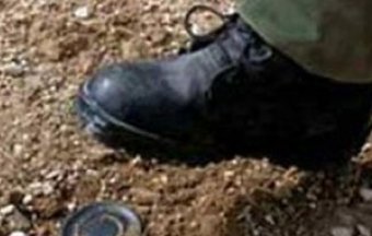 Самодельная бомба взорвалась в Донецкой области
