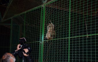 В Одесском зоопарке продолжают традицию ночных экскурсий