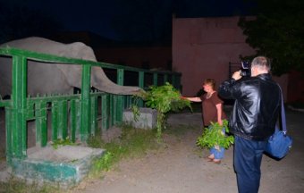 В Одесском зоопарке продолжают традицию ночных экскурсий