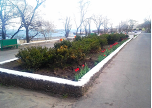 В Одессе продолжается подготовка пляжей к курортному сезону