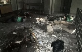 Одесситка, многодетная мама Алена Николаенко обвиняет (фото)