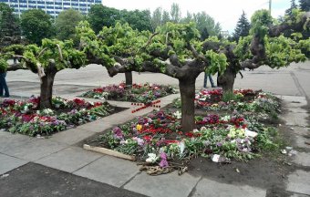 Алена Николаенко: Если бы я знала, что эта фотография вызовет столько вопросов, взяла бы силы в руки и сфотографировала с разных ракурсов