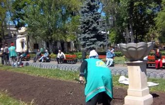 В Одессе высаживают цветы и деревья