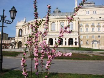 Более 500 деревьев и 2-х тысяч кустов появились этой весной в Приморском районе Одессы (фото)