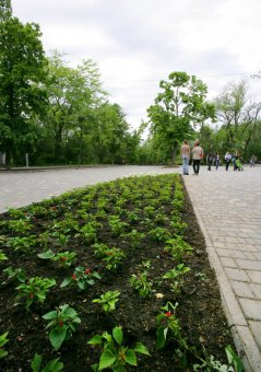Летние цветы украсят газоны и аллеи одесского парка (фото)