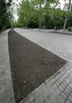 Летние цветы украсят газоны и аллеи одесского парка (фото)