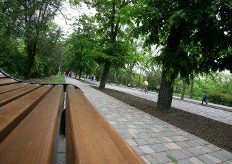 Летние цветы украсят газоны и аллеи одесского парка (фото)