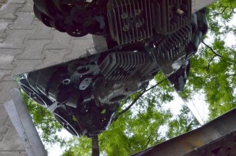 В Одессе появилась мудрая сова (фото)