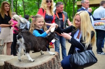 В Одесском зоопарке взяли опеку над белой полярной совой