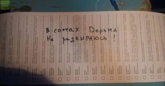 Выборы 25 мая: Творчество масс