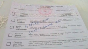 Выборы 25 мая: Творчество масс