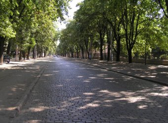Французский бульвар зазеленел