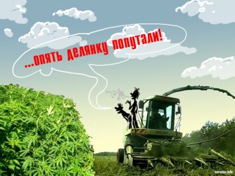 Измаил лишился местного «наркобарона в юбке»