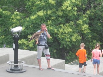 В Одессе продолжают эксплуатировать диких животных (фото)