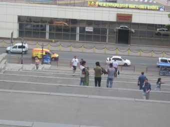 В Одессе продолжают эксплуатировать диких животных (фото)