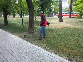 «Горзелентрест» начал покос травы