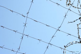 Первые шаги одессита в мир криминала оказались "успешными"