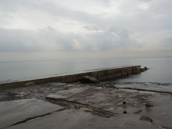Одесские экологи проинспектировали пляж «Ланжерон» (фото)