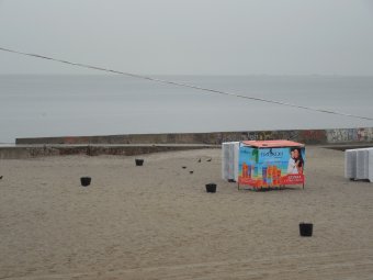 Одесские экологи проинспектировали пляж «Ланжерон» (фото)