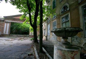 Во Дворце моряков открыли свободное пространство летнего кинотеатра Sunday Cinema