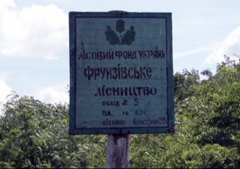 В Одесской области продолжается операция по уничтожению плантаций наркодельцов (фото)
