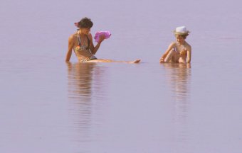 Проект спасения Куяльника есть. Осталось его осуществить (фото)