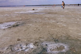 Валентина Дацюк: "Если не принять меры, Куяльницкий лиман будет умирать мучительно и долго"