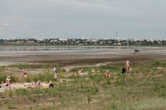 Куяльник - наша гордость и боль