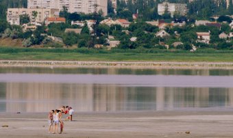 Куяльник - наша гордость и боль