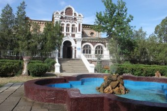 Куяльник - наша гордость и боль
