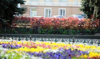 Улицы Одессы украсили более тысячи подвесных чаш с цветами